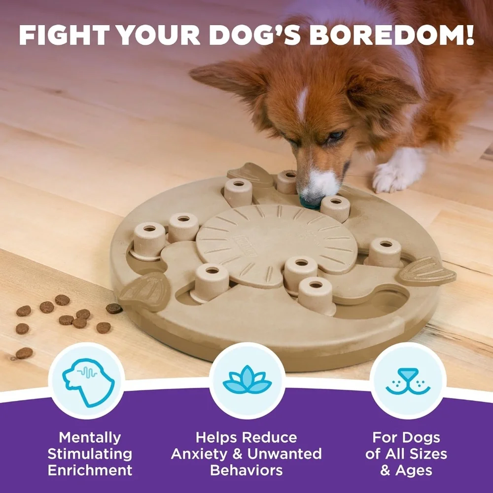 Outward Hound by Nina Ottosson Dog Worker Treat Puzzle Enrichment Toy, Level 3 A